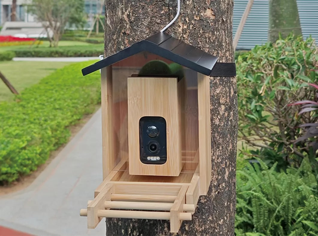 Wooden bird feeder with a camera attached to a tree outdoors