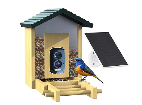 Bird feeder with a camera and solar panel, featuring a bird perched on it.